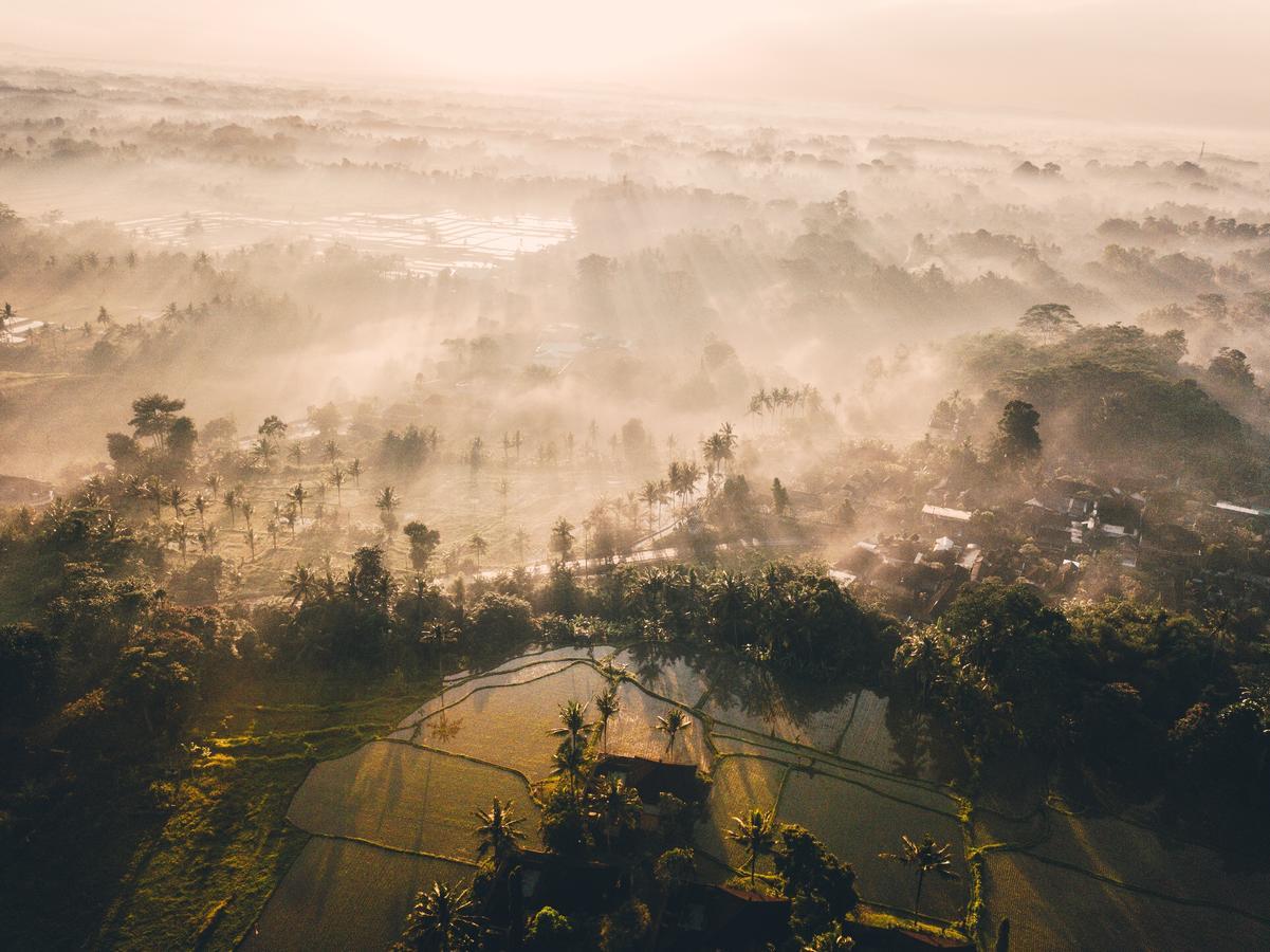 Tanah Gajah, A Resort By Hadiprana Ubud Eksteriør bilde
