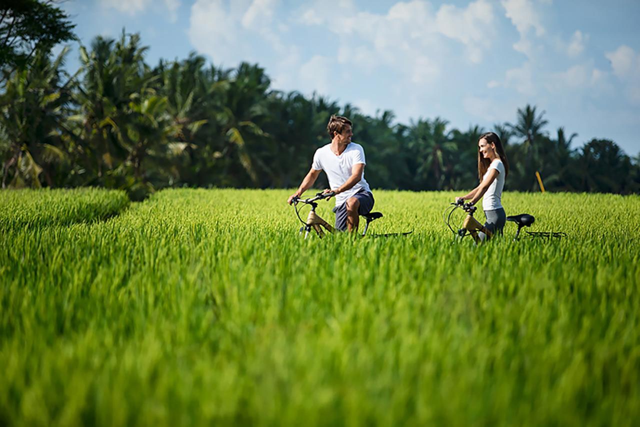 Tanah Gajah, A Resort By Hadiprana Ubud Eksteriør bilde